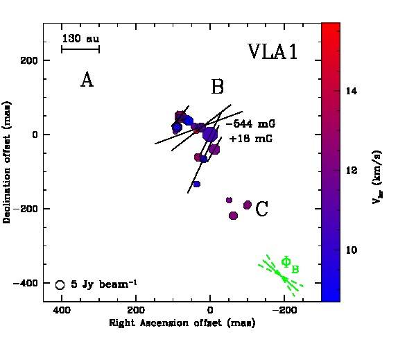 figure_1a.jpg figure_1a.jpg